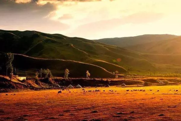 新疆赏秋景点有哪些 2022新疆秋天旅游攻略必玩的景点