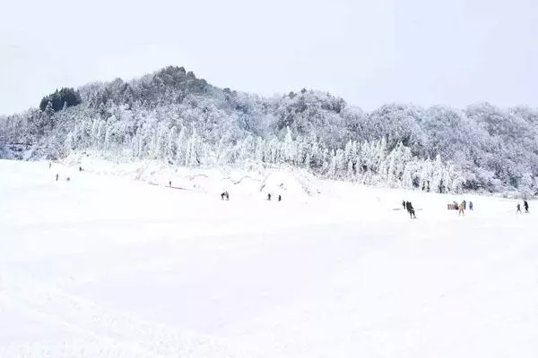 2022重庆冷水国际滑雪场在哪里及开放时间