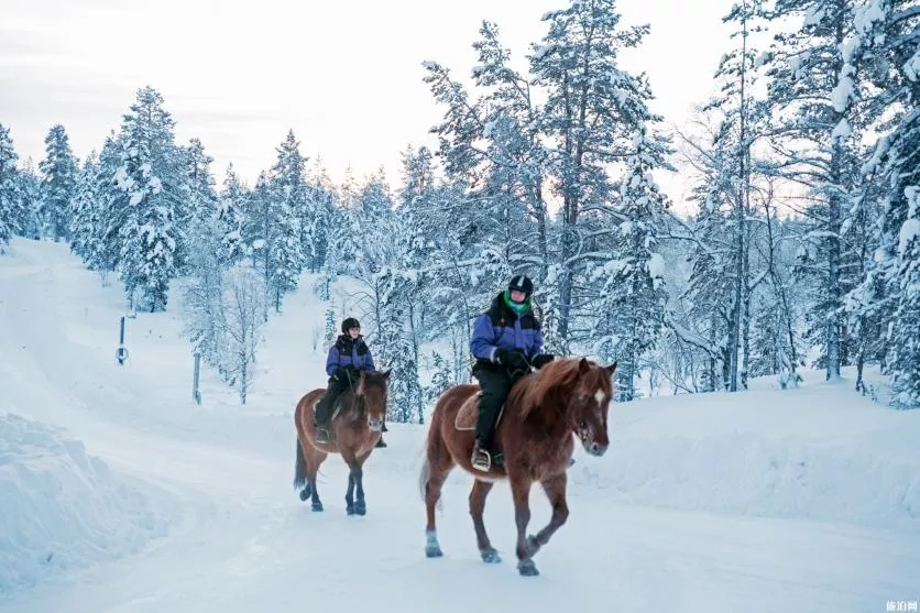 芬兰旅游特色必体验项目