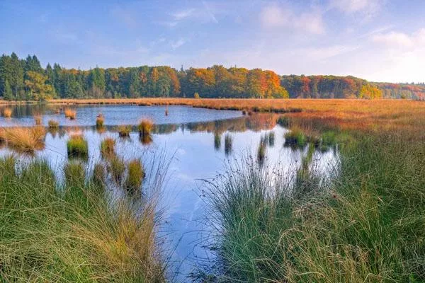 2022江西鄱阳湖湿地公园门票最新优惠政策一览