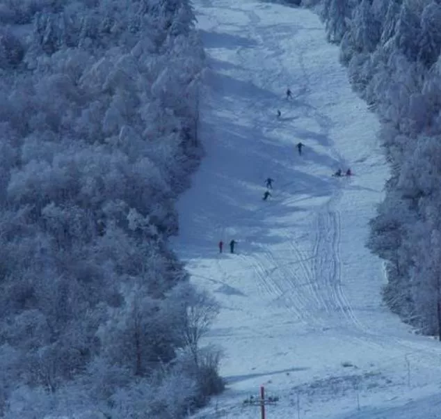 武汉去神龙架滑雪攻略2020