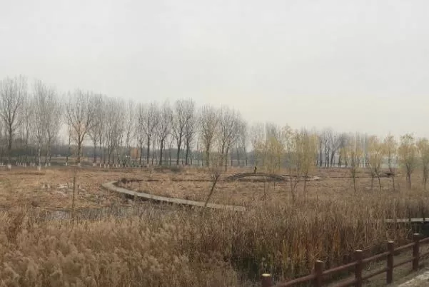 北京冬天适合骑行的公园有哪些