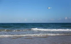 畅玩陵水热门景点丨你确定不来“会唱歌的沙滩”过暑假吗？